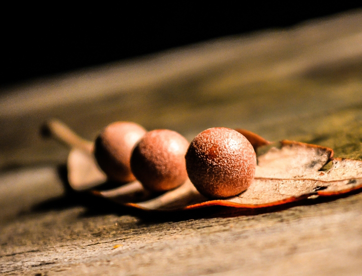 ddos在线攻击测试网站